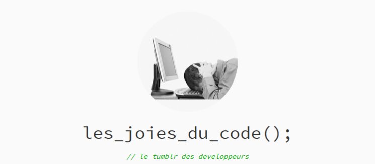 Les joies du code et de l'informaticien